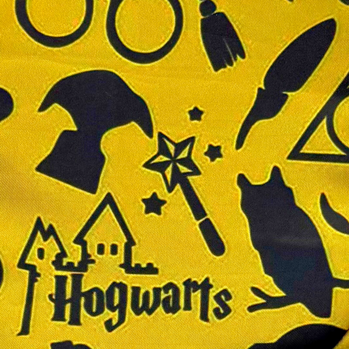 Harry Potter Hogwarts