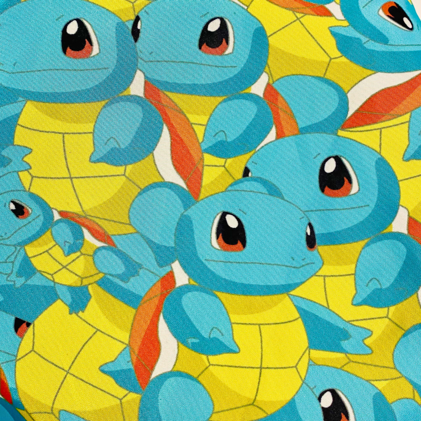 Pokemon Squirtle