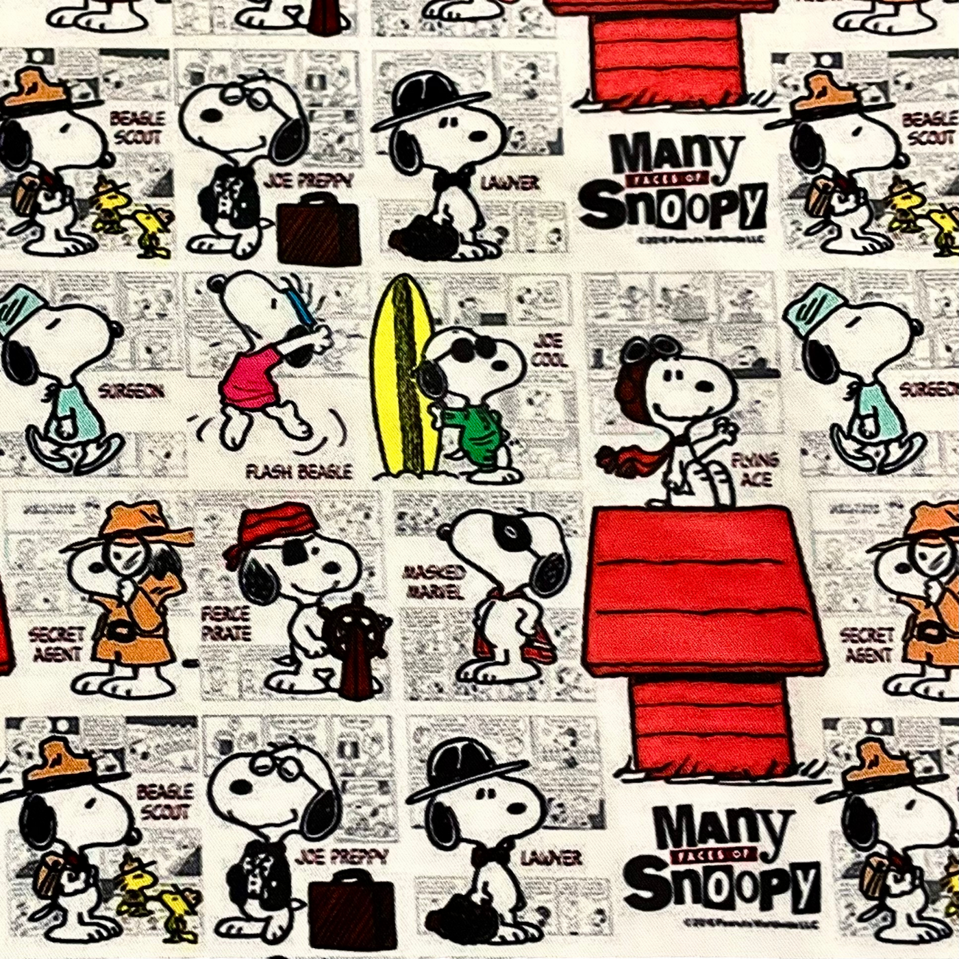 Snoopy Disfraces