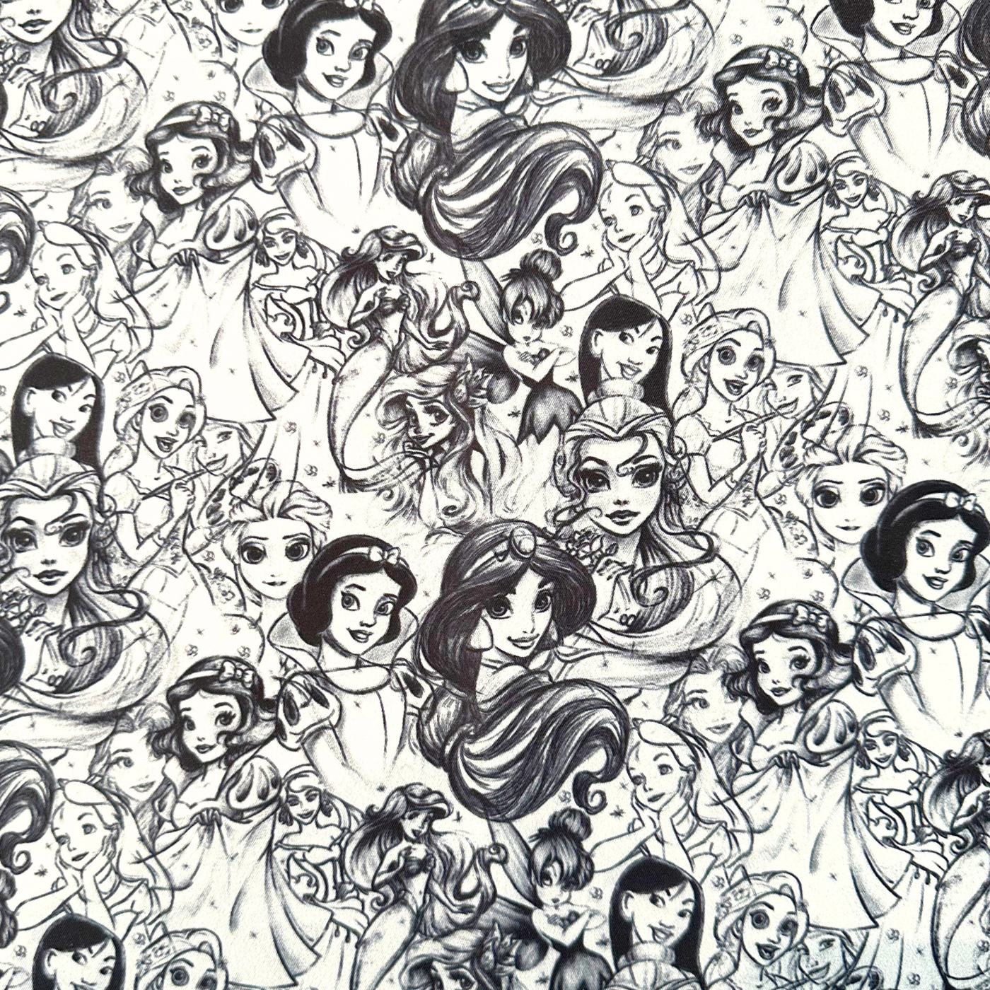 Disney Princesas B/N