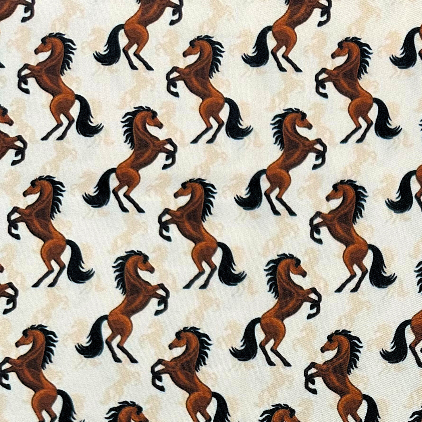 Caballos